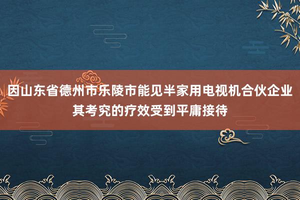 因山东省德州市乐陵市能见半家用电视机合伙企业其考究的疗效受到平庸接待