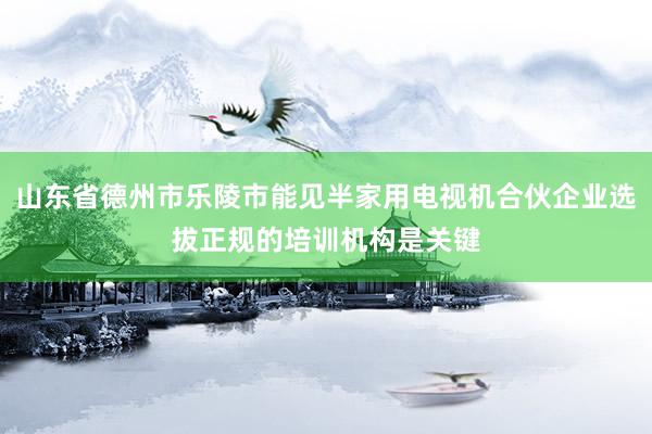 山东省德州市乐陵市能见半家用电视机合伙企业选拔正规的培训机构是关键